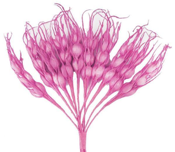 ÇİÇEK BAŞAK PEMBE 1 PAKET - Image 1
