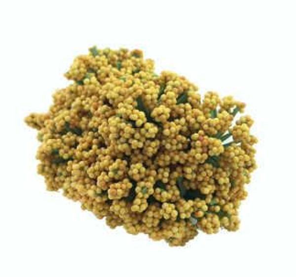 ÇİÇEK CİPSO ALTIN 1 PAKET - Image 1