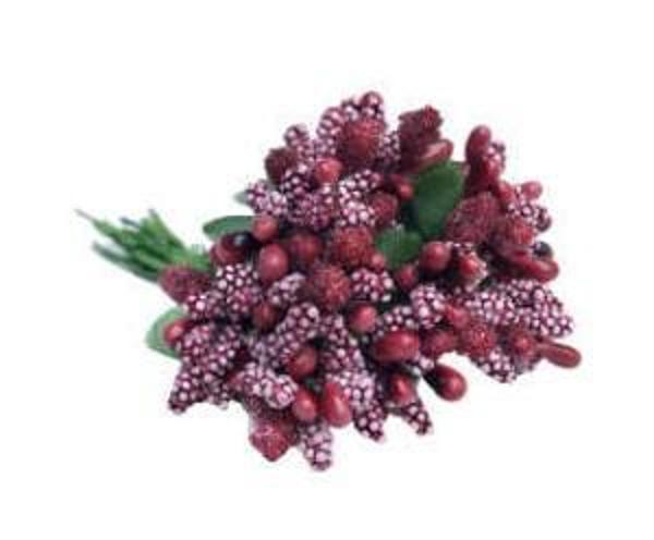 ÇİÇEK CİPSO BORDO 1 PAKET - Image 1