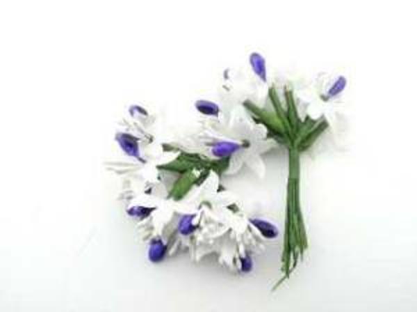 ÇİÇEK CİPSO MOR 1 PAKET - Image 1