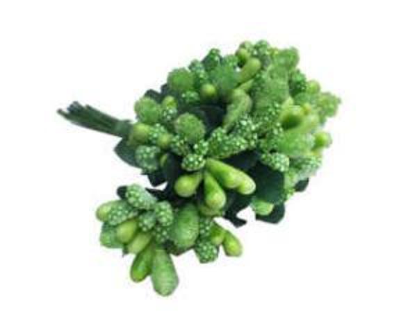 ÇİÇEK CİPSO YEŞİL 1 PAKET - Image 1