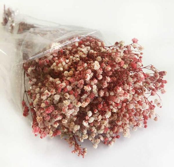 ÇİÇEK DOĞAL CİPSO 50 GR KIRMIZI 1 PAKET - Image 1