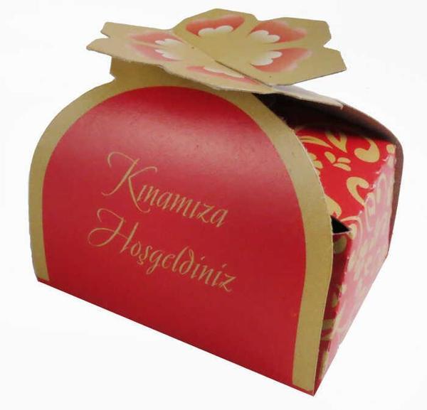 KINA PAKETLİ YALDIZ PAPATYA KIRMIZI 50 ADET - Image 1