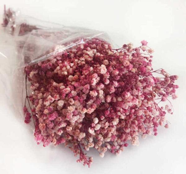 ÇİÇEK DOĞAL CİPSO 50 GRAM PEMBE 1 PAKET  - Image 1