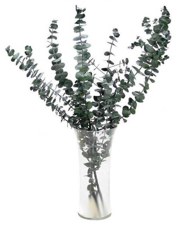ÇİÇEK DOĞAL OKALİPTUS 100 GRAM - Image 1