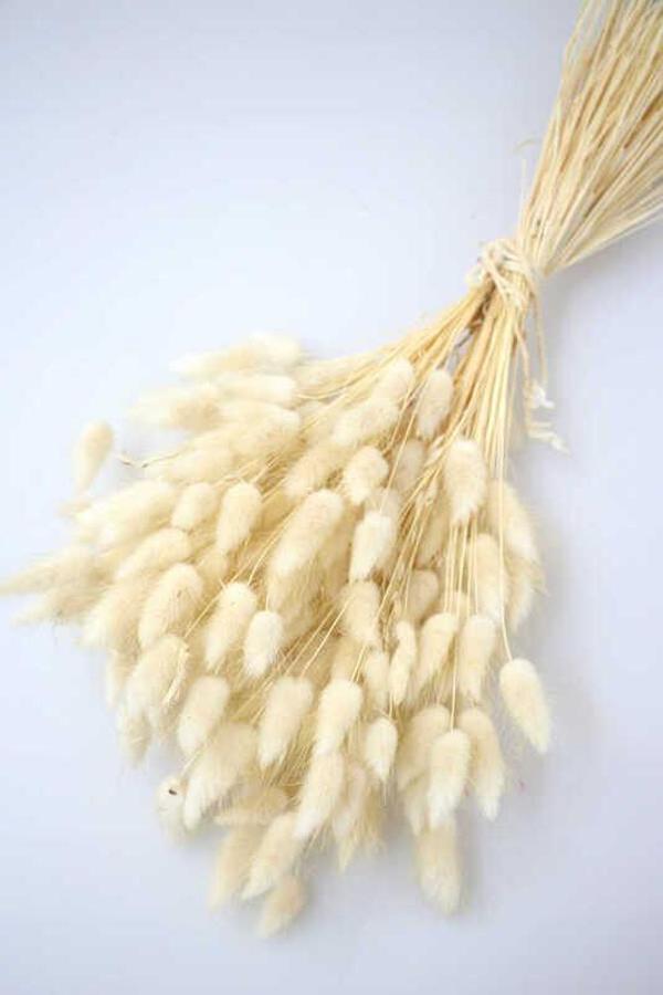 ÇİÇEK DOĞAL PAMUK OTU 50 GR NATUREL 1 PAKET - Image 1
