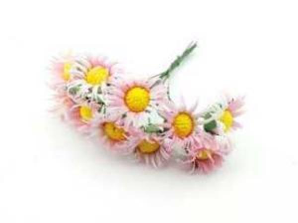 ÇİÇEK PAPATYA PEMBE 1 PAKET - Image 1