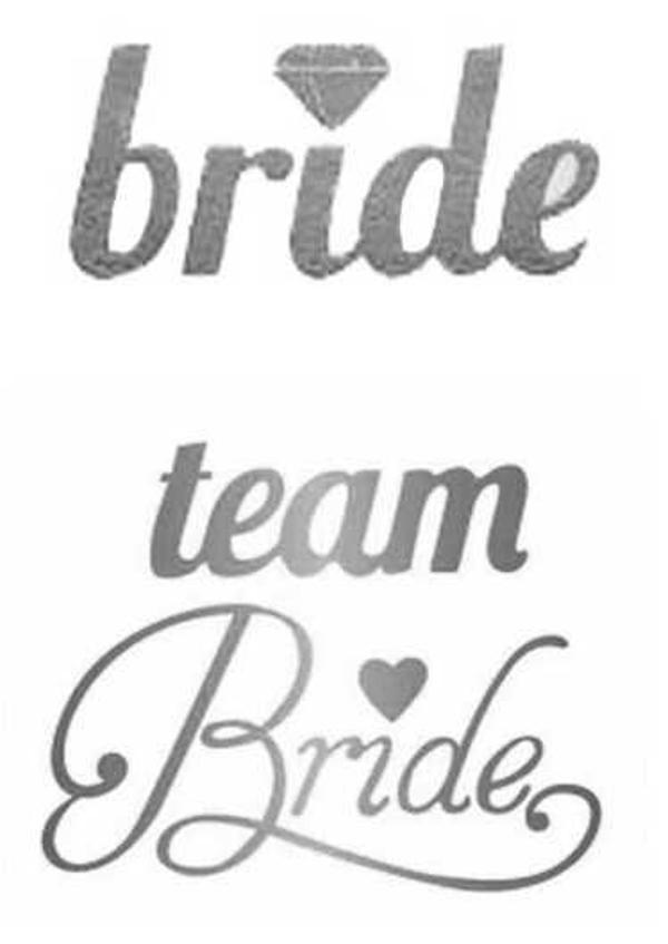 DÖVME TEAM BRIDE KALPLİ VARAKLI GÜMÜŞ 1 SET - Image 1