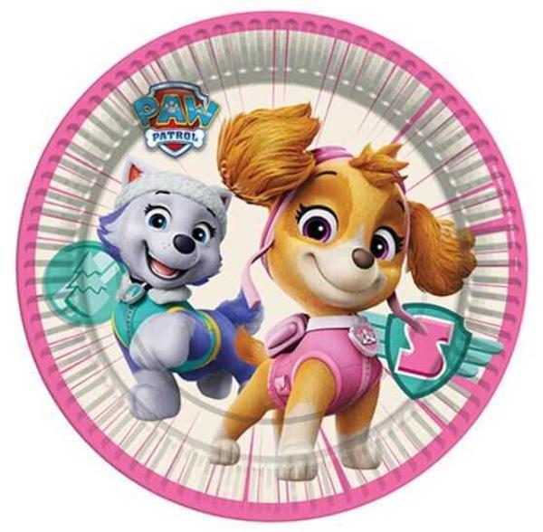PAW PATROL SKYE TABAK 8 ADET - Image 1