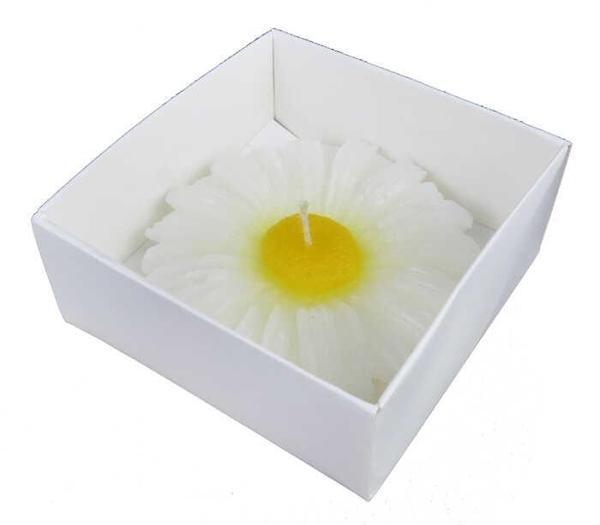 MUM PAPATYA ASETAT KUTULU BEYAZ 1 ADET - Image 1