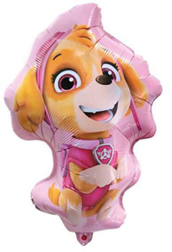 FOLYO BALON PAW PETROL SKYE 26 İNC 4 LÜ SET - Image 1
