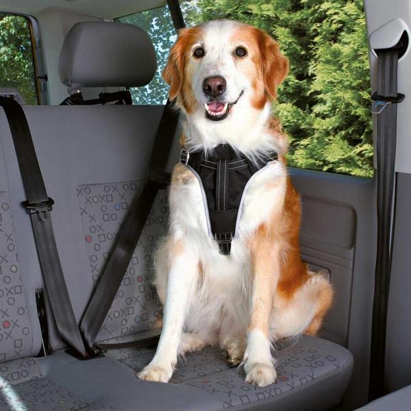 Trixie Köpek Emniyet Kemeri ve Göğüs Tasması 50-65cm 20mm Siyah M - Image 1