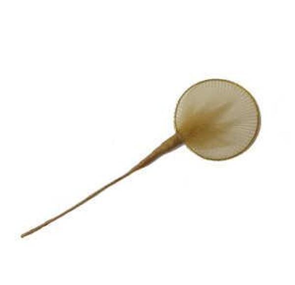 RAKET TÜL ALTIN 100 ADET - Image 1
