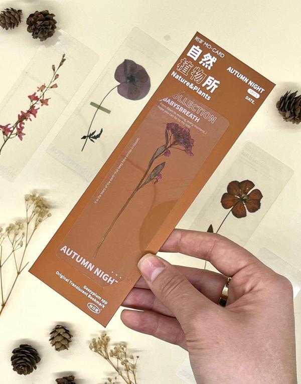 5'li Çiçekli Şeffaf Kahverengi Kutu  Kitap Ayracı - Image 1