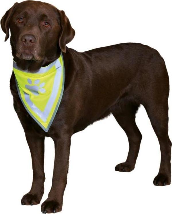 Trixie Köpek Bandanası L-XL 42-60cm - Image 1