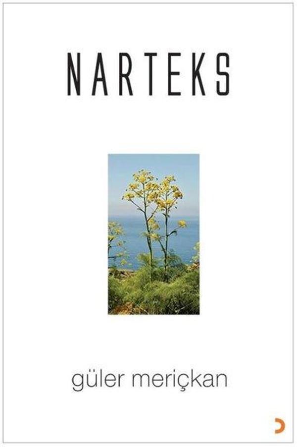 Narteks - Cinius Yayınevi - Image 1