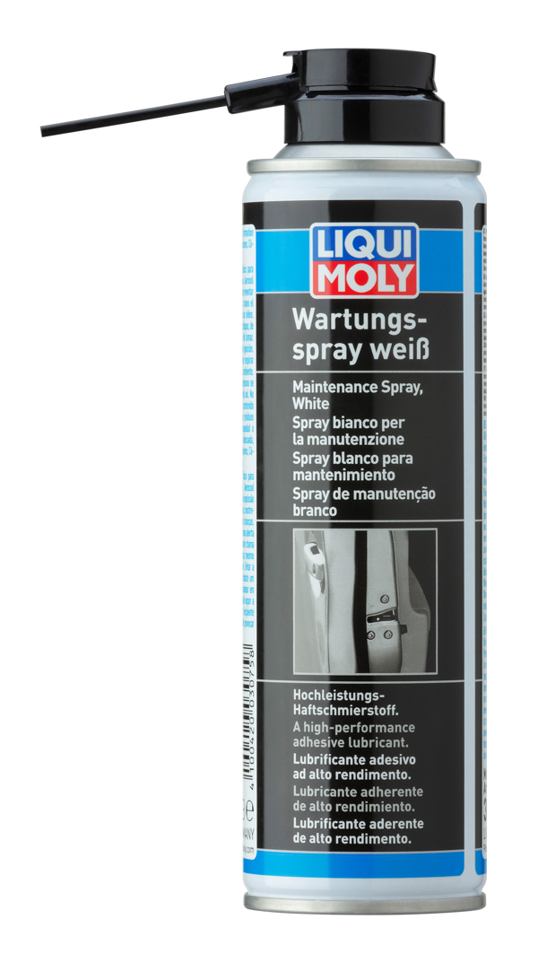 Liqui Moly Kilit Bakım Spreyi 250 ml (3075) - Image 1