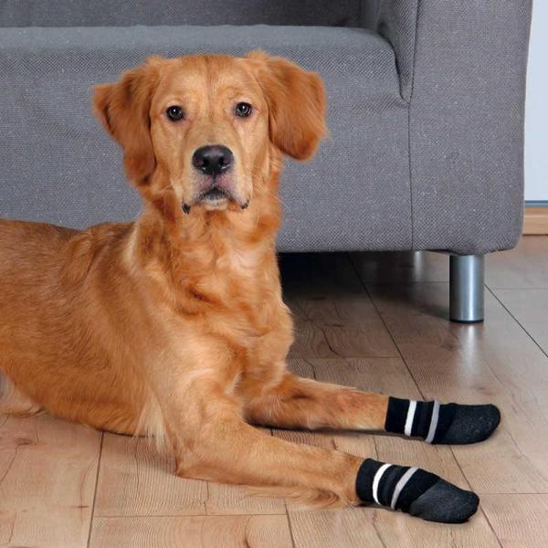 Trixie Köpek Çorabı Kaymaz XL 2 Adet Siyah - Image 1