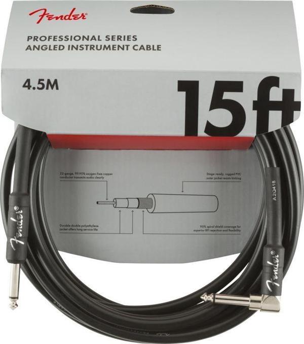 Fender Professional Inst Sa 15 - Image 1