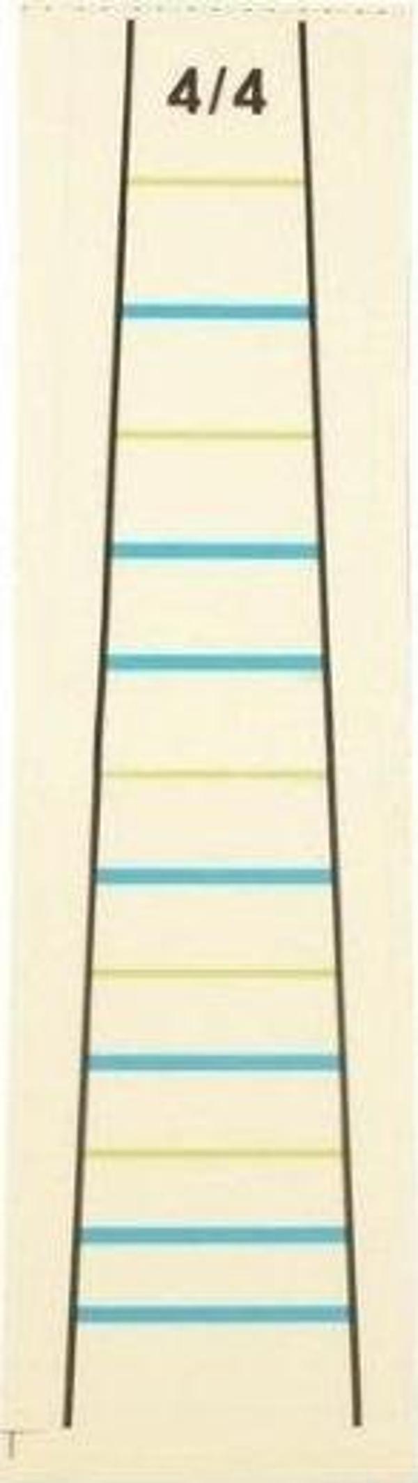 Raymond Joes Stkk44B Keman Parmak Kılavuzu - Keman Nota Sticker - Image 1