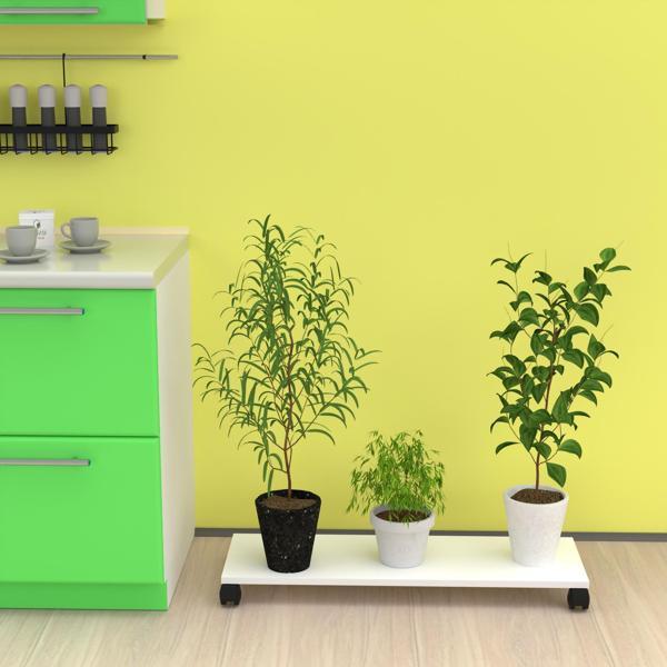 Kenzlife saksı altlığı kazım byz 010*090*30 tüp saksılık - Image 1