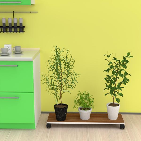 Kenzlife saksı altlığı kazım cvz 010*090*30 tüp saksılık - Image 1