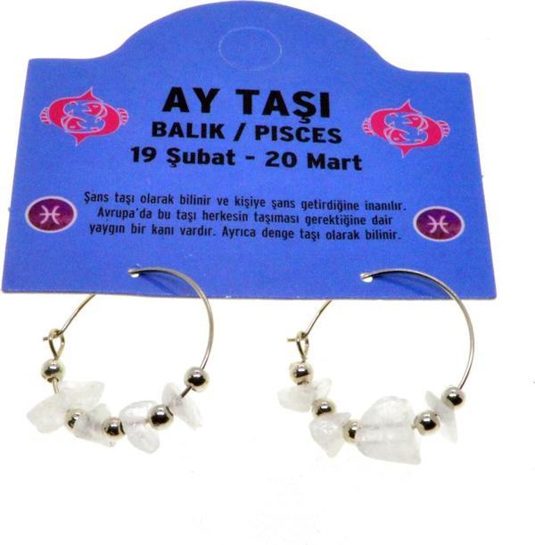 Doğaltaş Balık Burçu Ay Taşı Burç Küpe - 2332 - Image 1