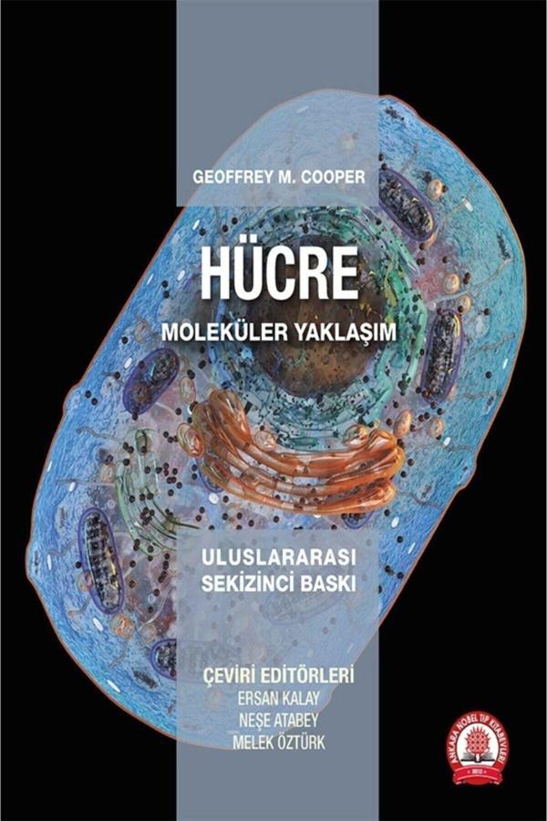 Hücre Moleküler Yaklaşım - Ankara Nobel Tıp - Image 1