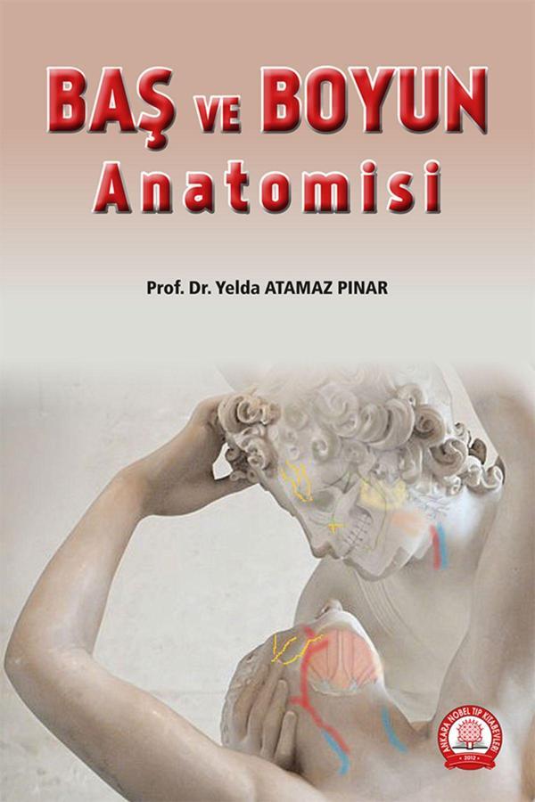 Baş Ve Boyun Anatomisi - Ankara Nobel Tıp - Image 1