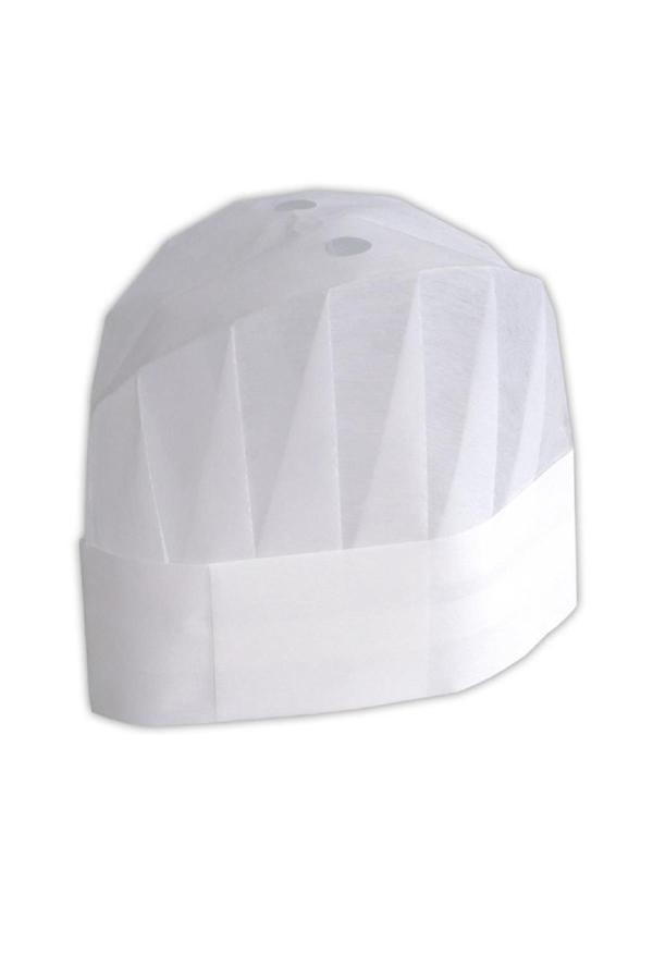 Alsepeteavm  Dolphin Aşçı Kepi 10lu  - Image 1
