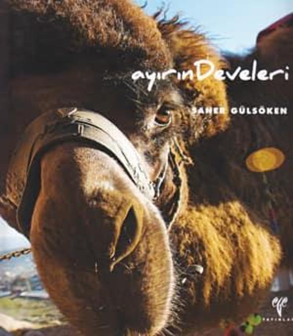 Ayırın Develeri - Image 1