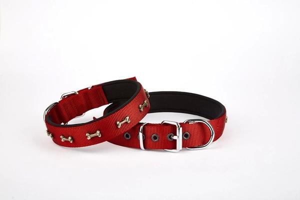 Doggie Softlu Kemik Desenli Köpek Tasması 2 cm x 40 cm Kırmızı - Image 1