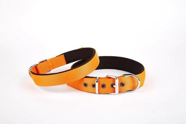 Doggie Softlu Dokuma Köpek Tasması 2,5 cm x 50 cm Turuncu - Image 1