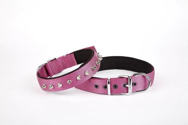 Doggie Çivi Desenli Köpek Tasması 2,5*60 cm Mor - Image 1