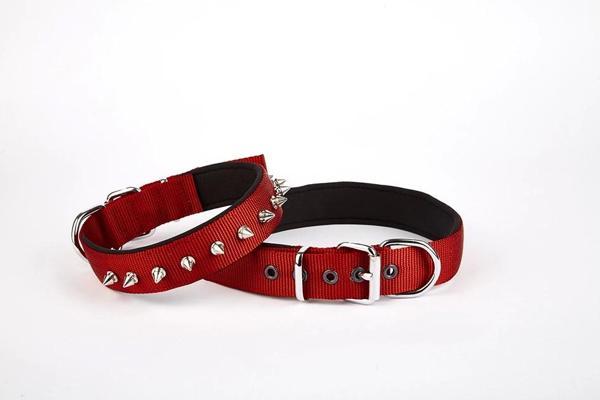 Doggie Çivi Desenli Köpek Tasması 2,5*60 cm Kırmızı - Image 1