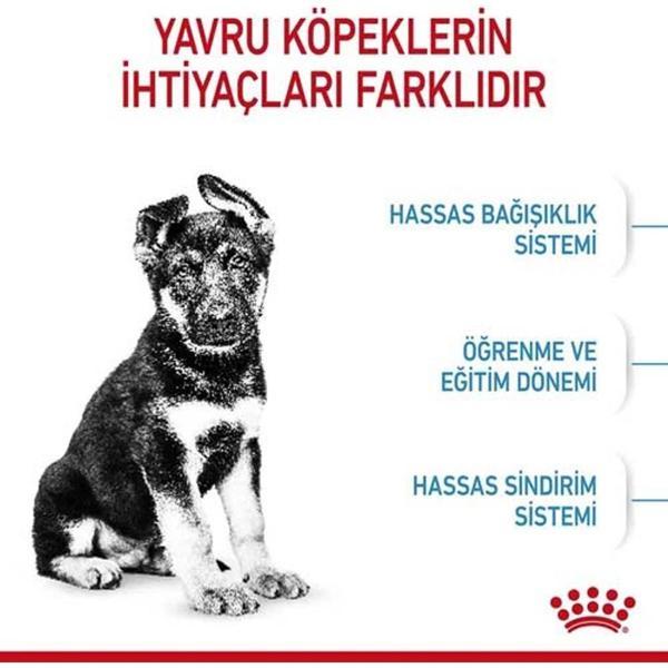 Maxi Puppy Yavru Köpek Maması 15 kg - Image 1
