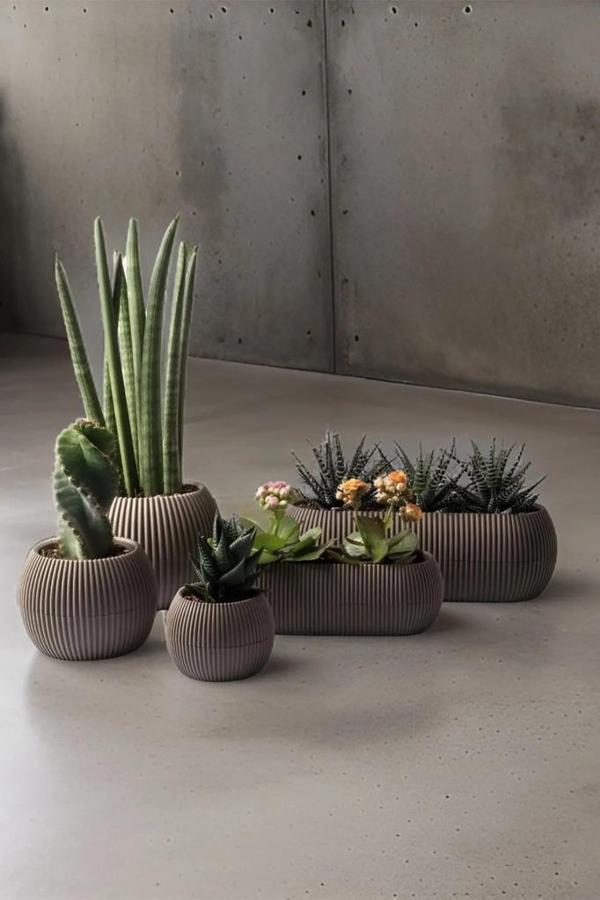 Omnipazar KRS Mercan Dekoratif Sukulent Kaktüs Plastik Saksı Takımı 5'li Set Kahverengi - Image 1