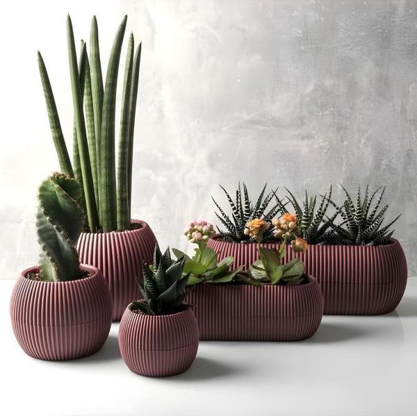 Omnipazar KRS Mercan Dekoratif Sukulent Kaktüs Plastik Saksı Takımı 5'li Set Soft Pembe - Image 1