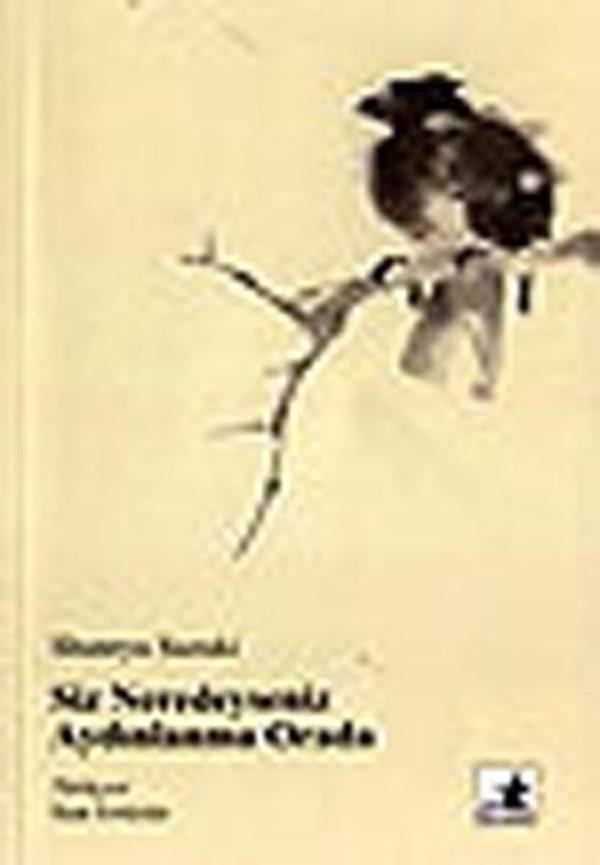 Siz Neredeyseniz Aydınlanma Orada - Okyanus Yayıncılık - Image 1