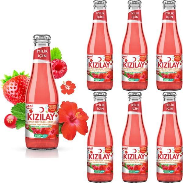 KIZILAY MADEN SUYU DOĞAL KIRMIZI MEYVELER HİBİSKUS AROMALI 200 ML X 6 ADET - Image 1