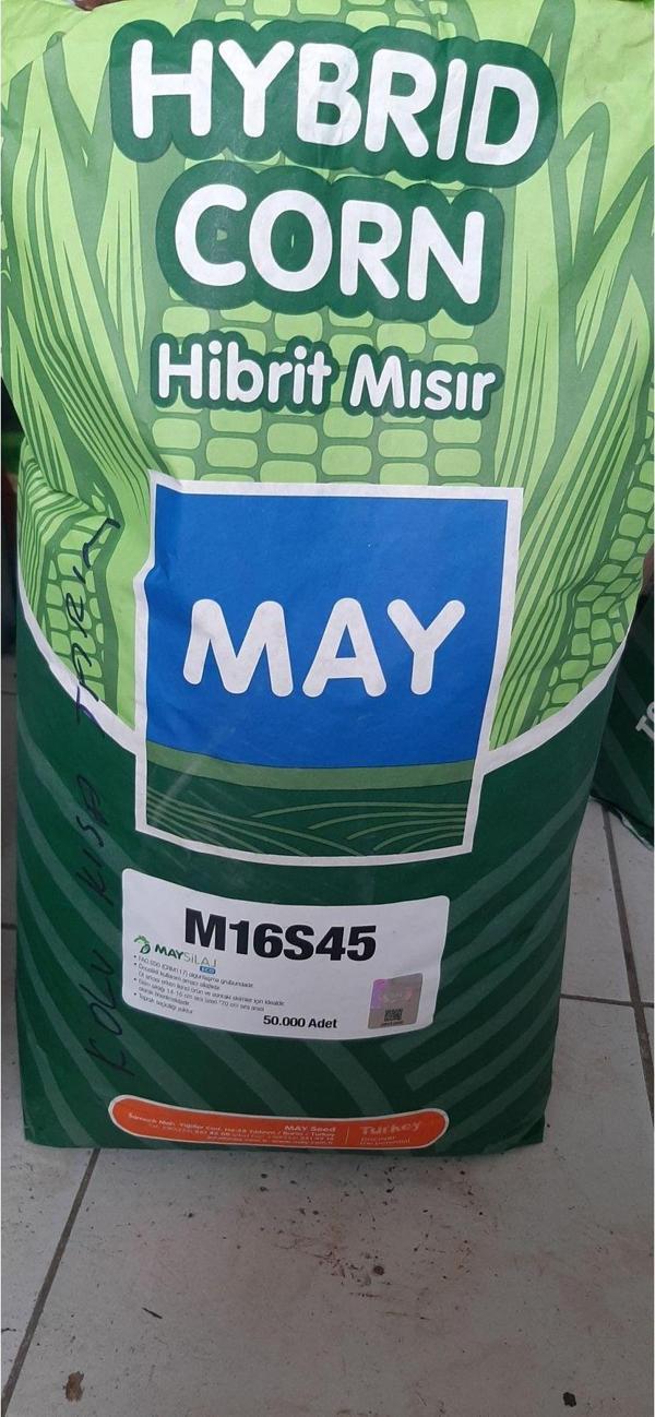 May M16S45 Mısır Tohumu - Image 1