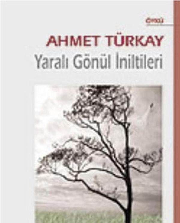 Yaralı Gönül İniltileri - Berfin Yayınları - Image 1