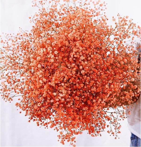 Kuru Çiçek Doğal TURUNCU Cipso 50gram 1. Kalite Şoklanmış Bozulmaz - Image 1