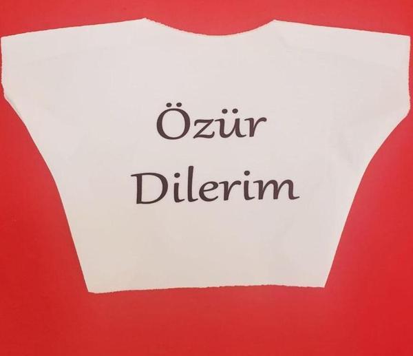 Büro Ev Ofis Hediyesi için Özür Dilerim Tişörtlü Ayıcık Peluş Oyuncak - Image 1