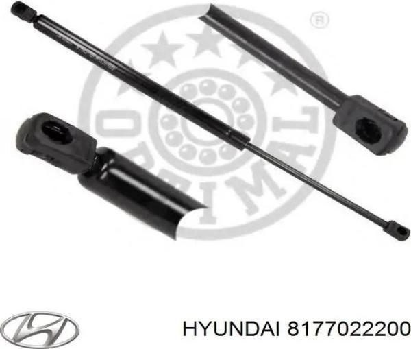 Bagaj Amortısörü Tek Taraf Kore Accent Benzın 1995-1999 (Oem No: 8178022200) - Image 1