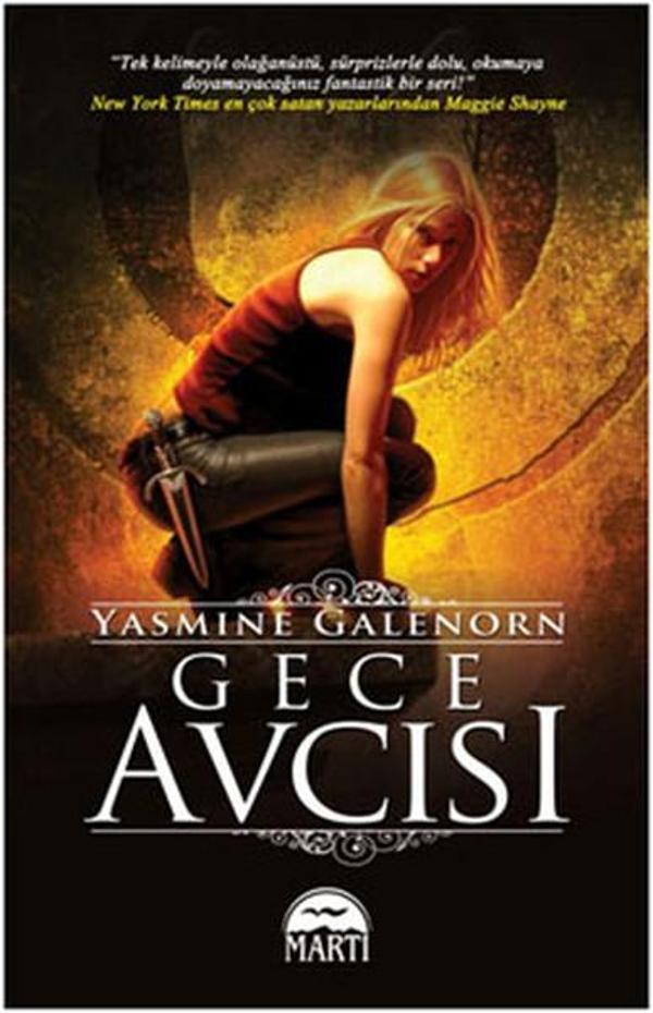 Gece Avcısı - Ayın Kardeşleri Serisi 5.Kitap - Martı Yayınları Yayınevi - Image 1