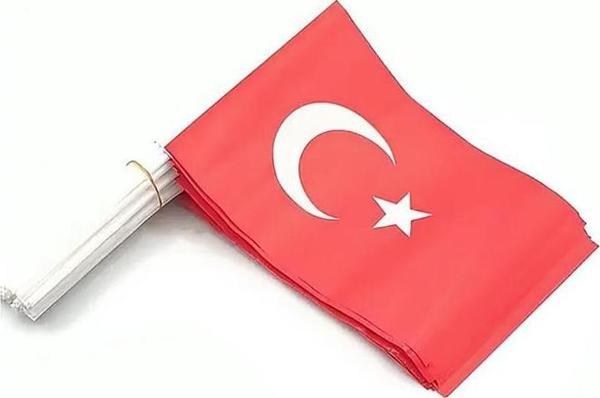 Alsepeteavm Çubuklu Kağıt Bayrak ( 40 Li ) 20x30 cm - Image 1