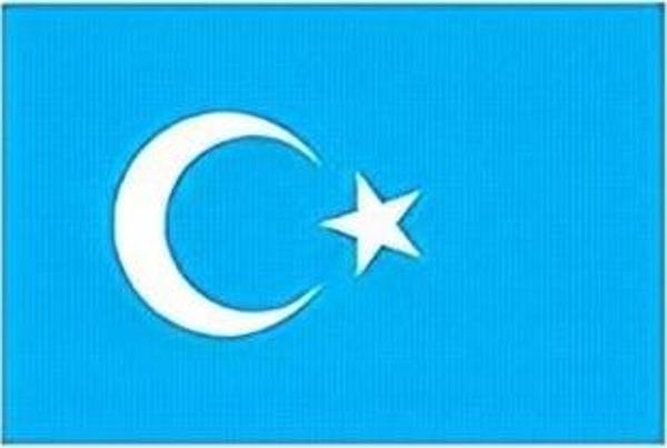 Alsepeteavm Doğu Türkistan Masa Bayrağı - Image 1