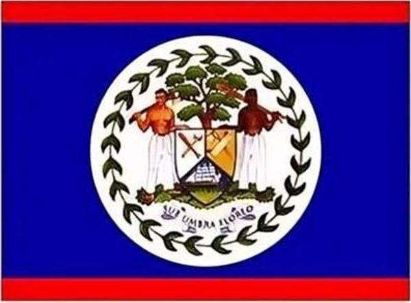 Alsepeteavm Belize Masa Bayrağı - Image 1