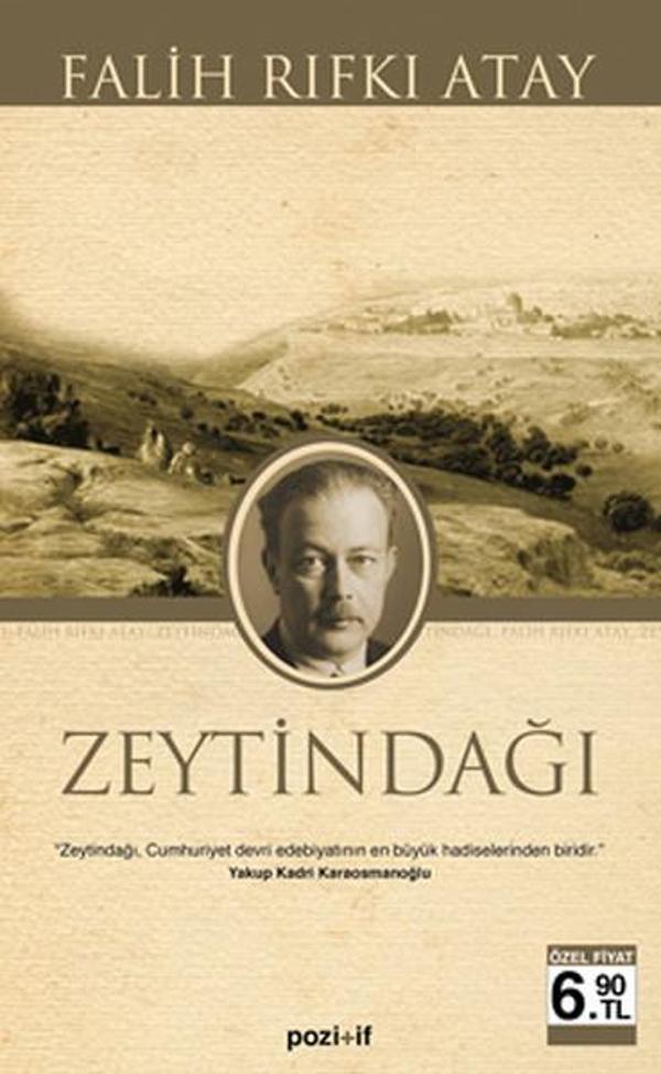 Zeytindağı - Pozitif Yayıncılık - Image 1